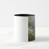 EDEN-REGENBOGEN TASSE (Zentrum)