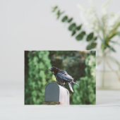 Edgar Allan Crow, Postkarte (Stehend Vorderseite)