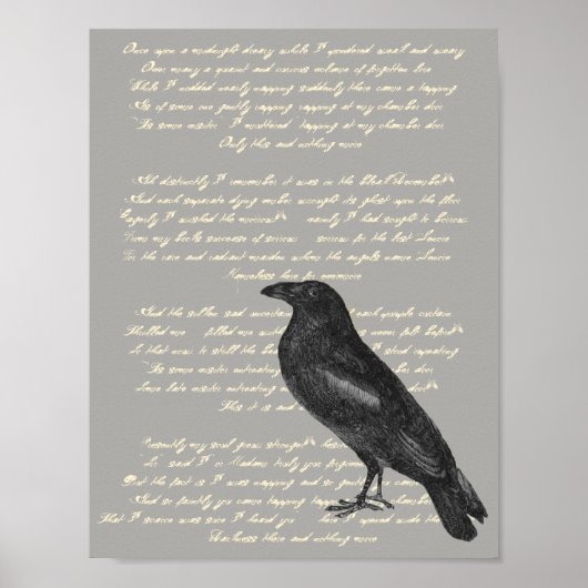 Edgar Allan Poe "Rabe" Poster (Vorne)