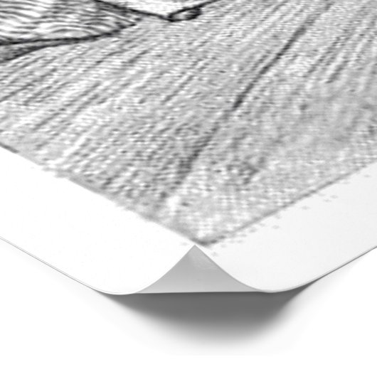 Edgar Allan Poe's Raven - Nevermore Poster (Ecke)