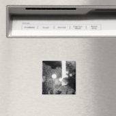 Edgar Degas | Das Café-Konzert Magnet (In Situ (Geschirrspüler))