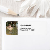 Edgar Degas - The Star 1878 (Insitu)