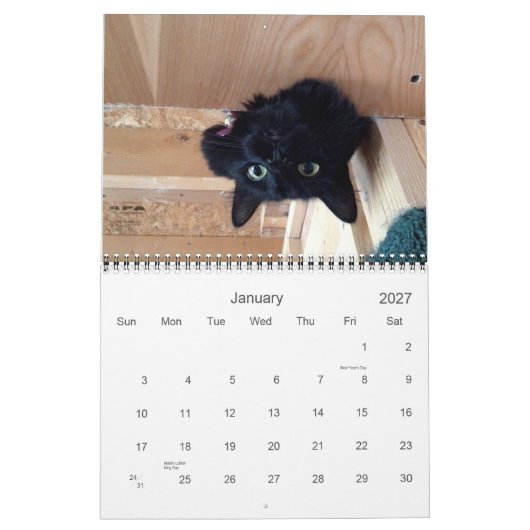 Edgar, Obi und Adara Katzen-Kalender 2015 Kalender (Jan 2027)