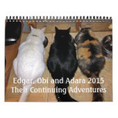 Edgar, Obi und Adara Katzen-Kalender 2015 Kalender (Titelbild)