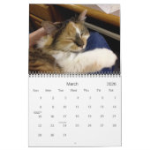 Edgar, Obi und Adara Katzen-Kalender 2015 Kalender (Mär 2026)
