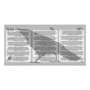 Edgar Poe The Raven Poster