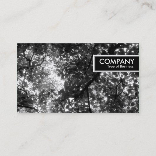 Edge-Tag - In den Bäumen Visitenkarte (Vorderseite)