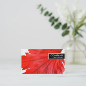 Edge Tag - Japanischer Ahornleaf (Stehend Vorderseite)