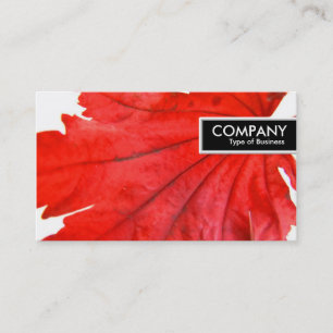 Edge Tag - Japanischer Ahornleaf
