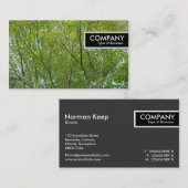 Edge Tag - Japanisches Ahorn (Vorne/Hinten)