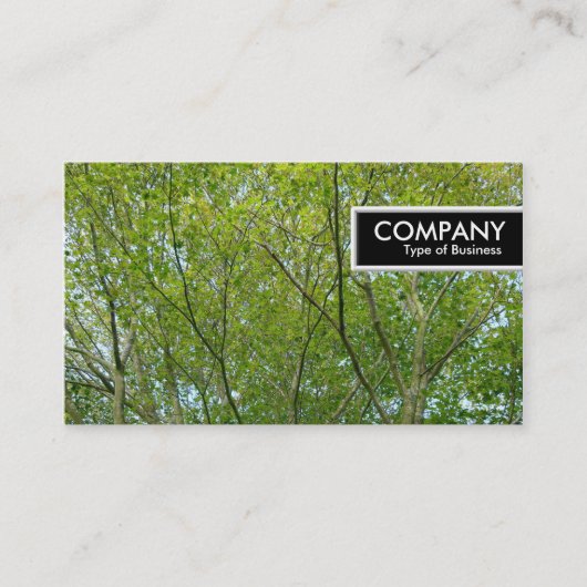 Edge Tag - Japanisches Ahorn (Vorderseite)