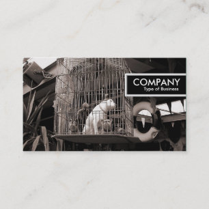 Edge-Tag - Käfige Tiere Visitenkarte