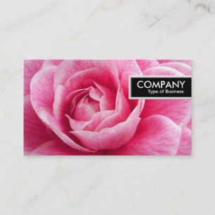 Edge-Tag - Rosa Camelia Visitenkarte