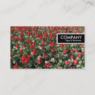 Edge Tag - Rote Tulips und Primrosen