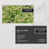 Edge Tag - Sedum (Herbstfreude) (Vorne/Hinten)