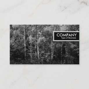 Edge-Tag - Silver Birch Trees B&W Visitenkarte