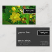 Edge Tag - St Johns Wort (Vorne/Hinten)