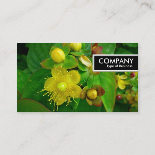 Edge Tag - St Johns Wort (Vorderseite)