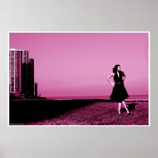 Edgewater beach, ill 2006 poster