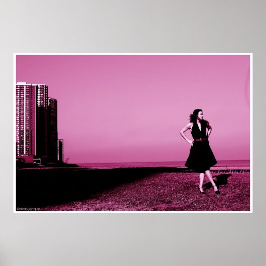 Edgewater beach, ill 2006 poster (Vorne)