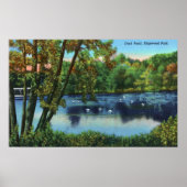 Edgewood Park View of the Duck Pond Poster (Vorne)