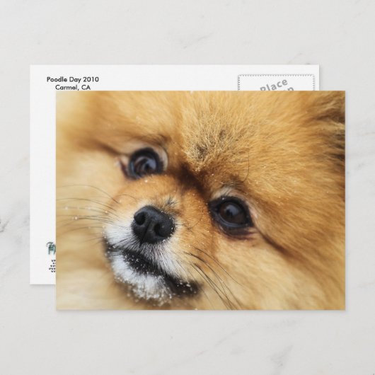 Edgrrr #1 postkarte (Vorne/Hinten)