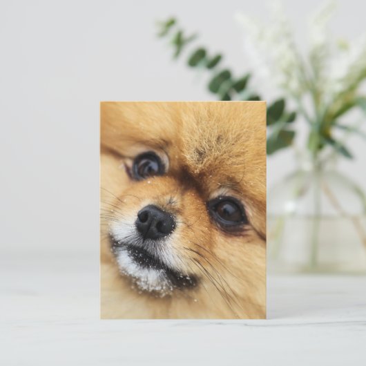 Edgrrr #1 postkarte (Stehend Vorderseite)