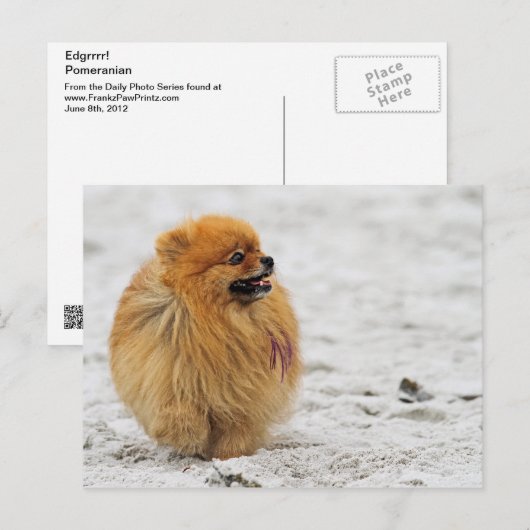 Edgrrr #3 - Spitz Postkarte (Vorne/Hinten)