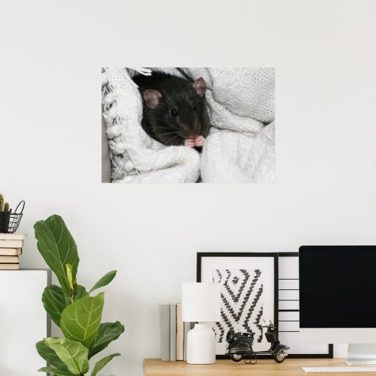 Edgworth The Rat Poster (Heimbüro)