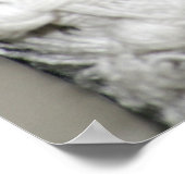 Edgworth The Rat Poster (Ecke)