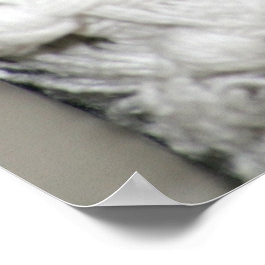 Edgworth The Rat Poster (Ecke)