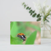 Edgy - Ladybug am Blattrand Postkarte (Stehend Vorderseite)
