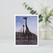 Edinburgh Giraffen Postkarte (Stehend Vorderseite)