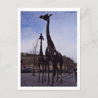 Edinburgh Giraffen Postkarte