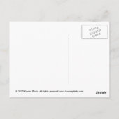 Edinburgh, Schottland Postkarte (Rückseite)