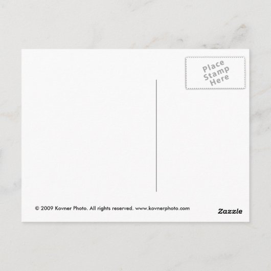 Edinburgh, Schottland Postkarte (Rückseite)