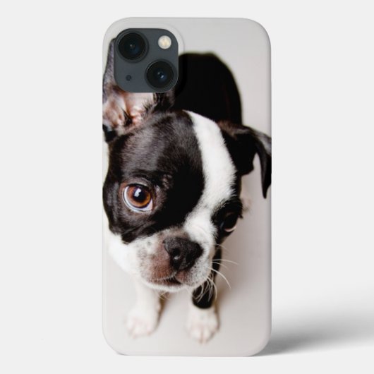 Edison Boston Terrier Welpe. Case-Mate iPhone Hülle (Rückseite)