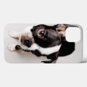 Edison Boston Terrier Welpe. Case-Mate iPhone Hülle (Rückseite (Horizontal))