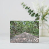 Edisto Postcard Postkarte (Stehend Vorderseite)