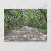 Edisto Postcard Postkarte (Vorderseite)