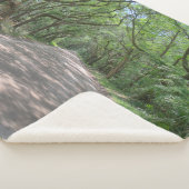 Edisto Straßendecke Sherpadecke (3/4)