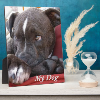 Editable Baby Pitbull Puppies Fotoplatte
