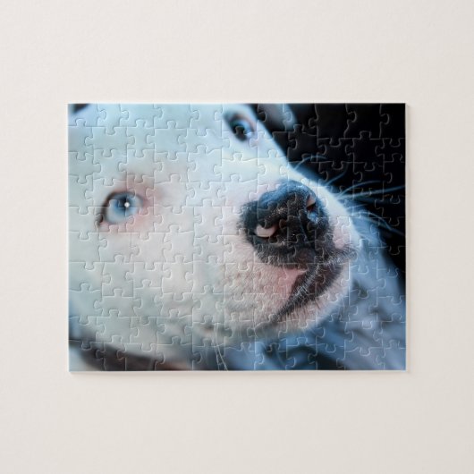 Editable Baby Pitbull Weiß-Welpe Puzzle (Horizontal)