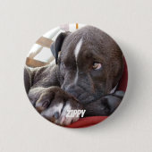 Editable Baby Pitbull Welpen Button (Vorderseite)