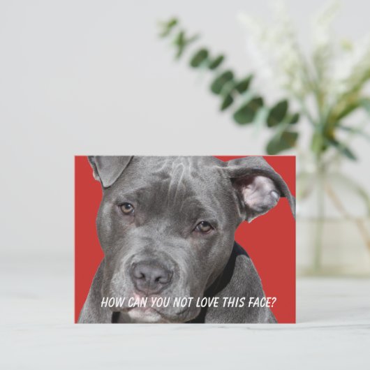Editable Black Pitbull Postkarte (Stehend Vorderseite)