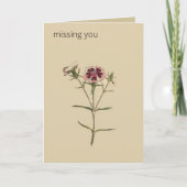 Editable Botanische China Dianthus Greeting Karte (Vorderseite)