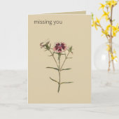 Editable Botanische China Dianthus Greeting Karte (Gelbe Blume)