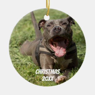 Editable Brown Pitbull im Gras Keramik Ornament