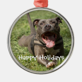 Editable Brown Pitbull im Gras Silbernes Ornament