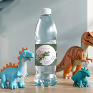 Editable Girl's Dinosaur Water Flasche Labels Wasserflaschenetikett